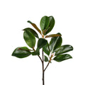 Magnolia Leaf Branch - 24 Inch