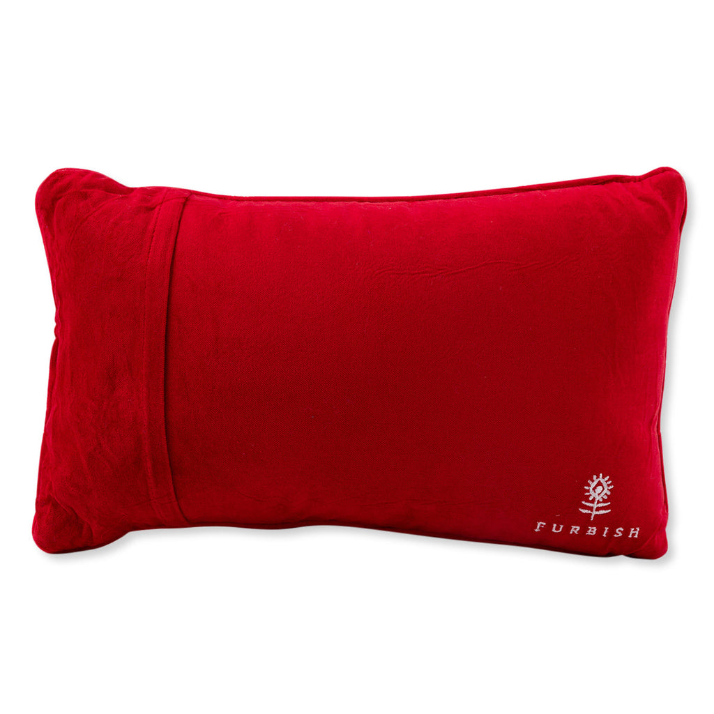 Control Freak Needlepoint Pillow