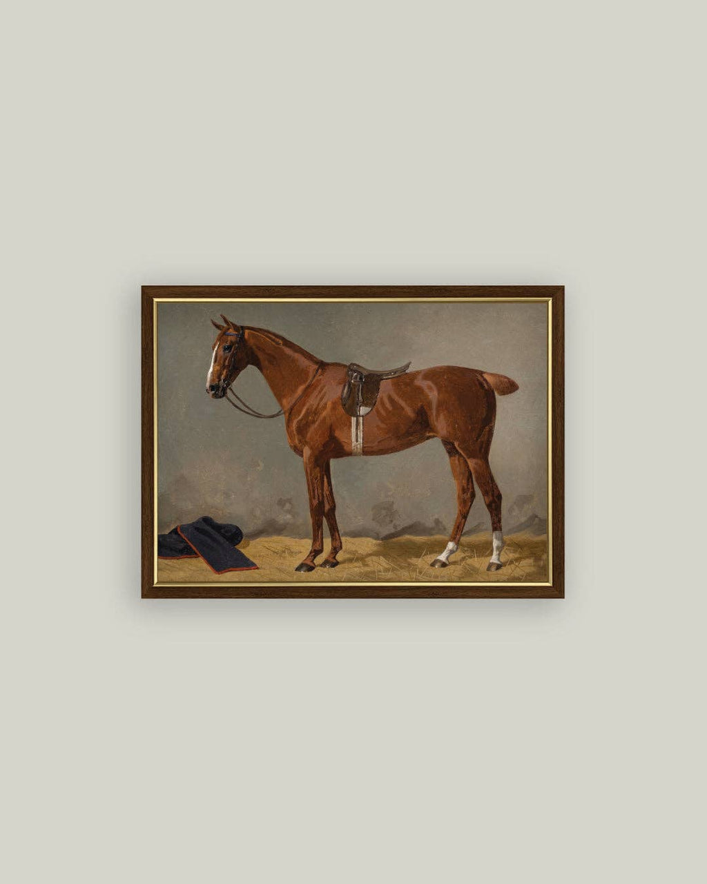 Saddled Brown Horse