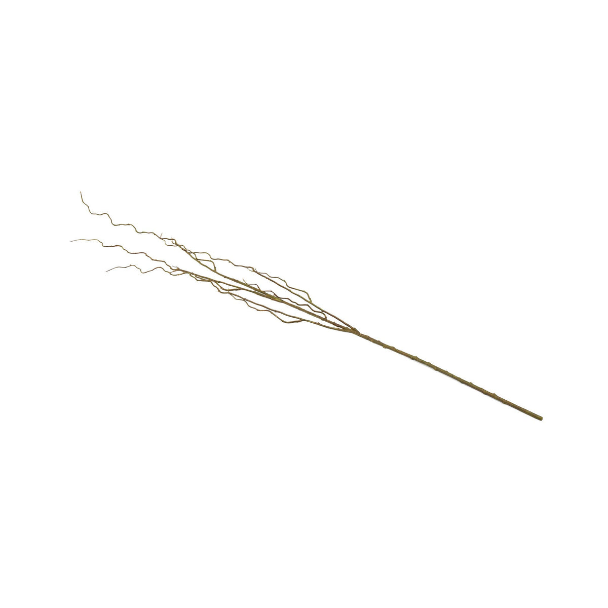 Curly Willow Branch - 51 Inch