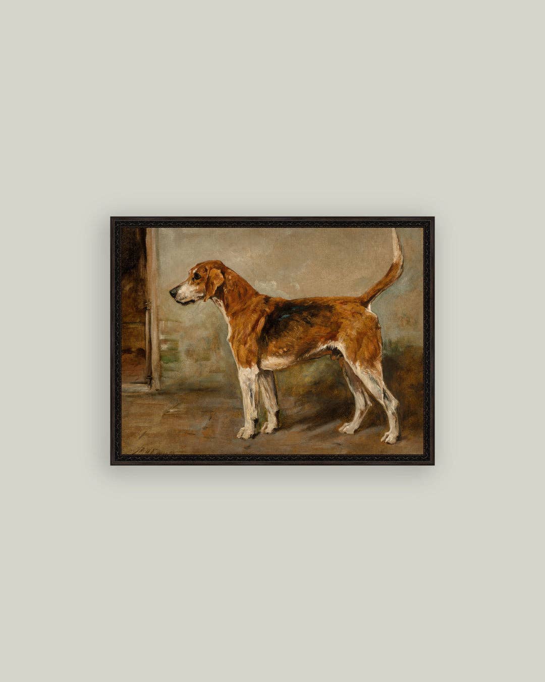 Fox Hound
