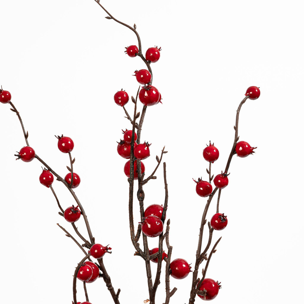 Rosehip Twig Spray 35 Inch