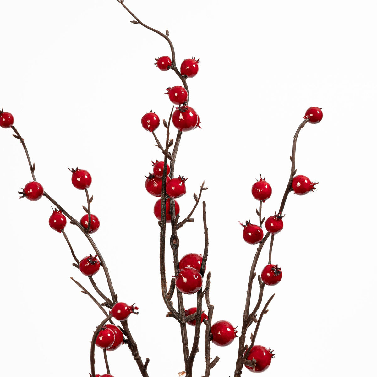 Rosehip Twig Spray 35 Inch