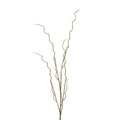 Curly Willow Branch - 51 Inch