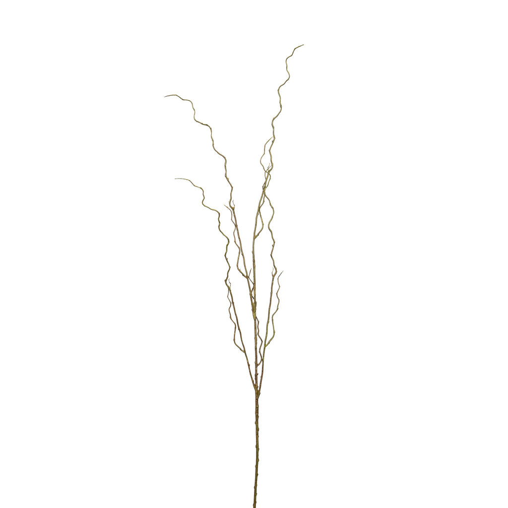 Curly Willow Branch - 51 Inch
