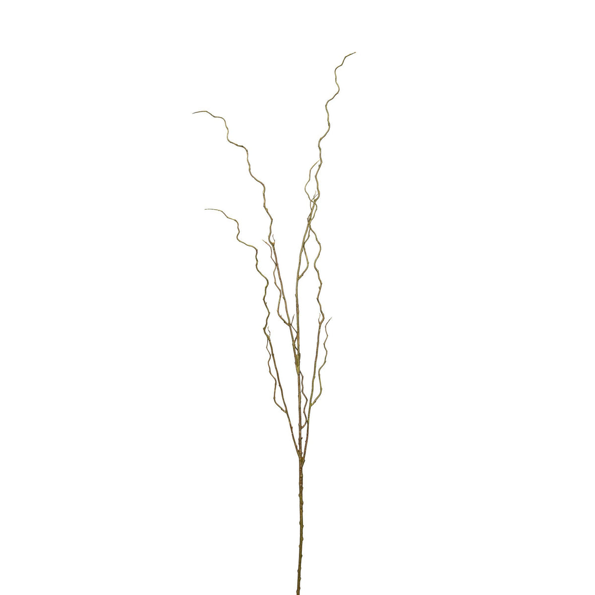 Curly Willow Branch - 51 Inch