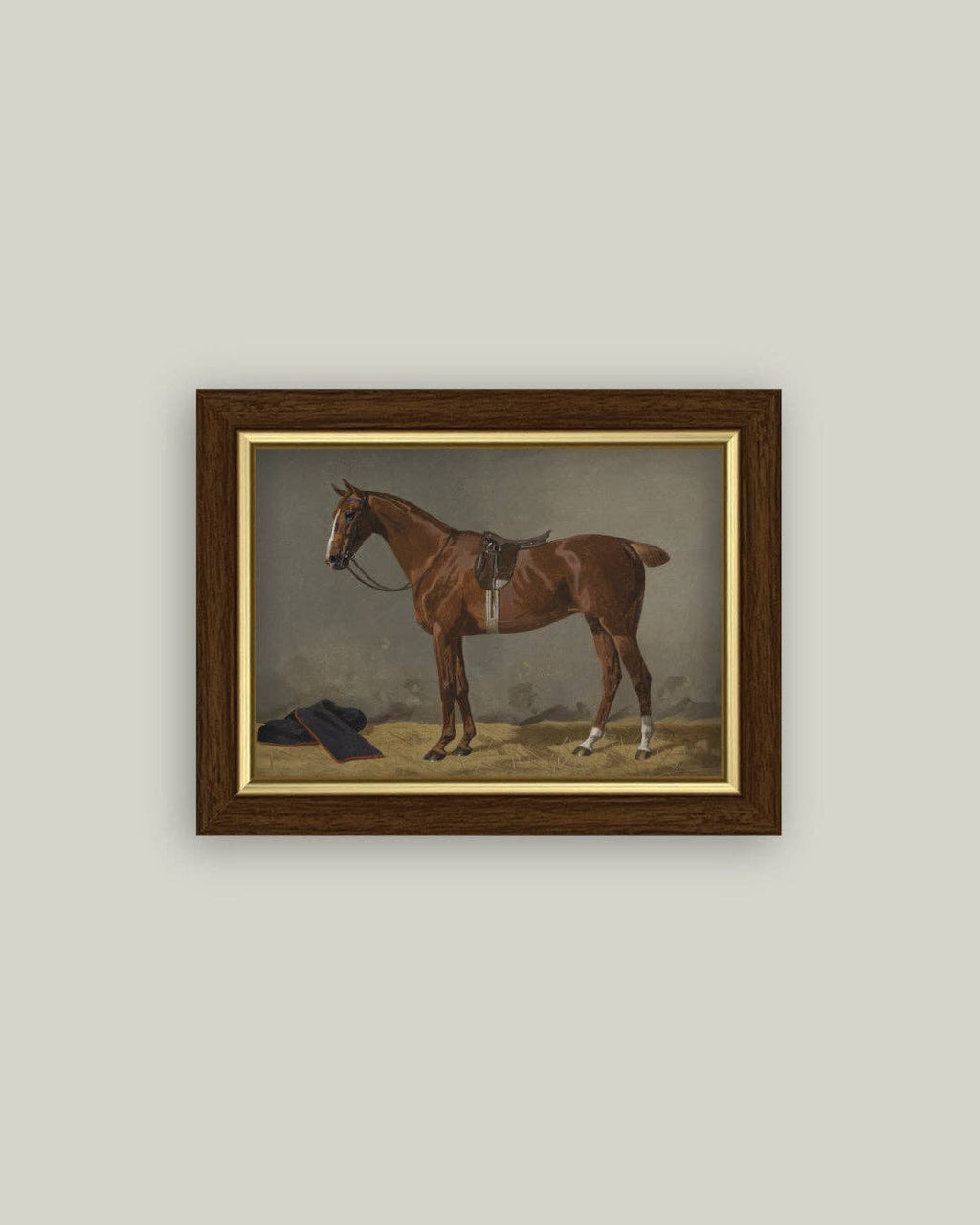 Saddled Brown Horse