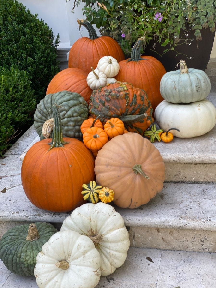 Fall Styling — Petite Porch