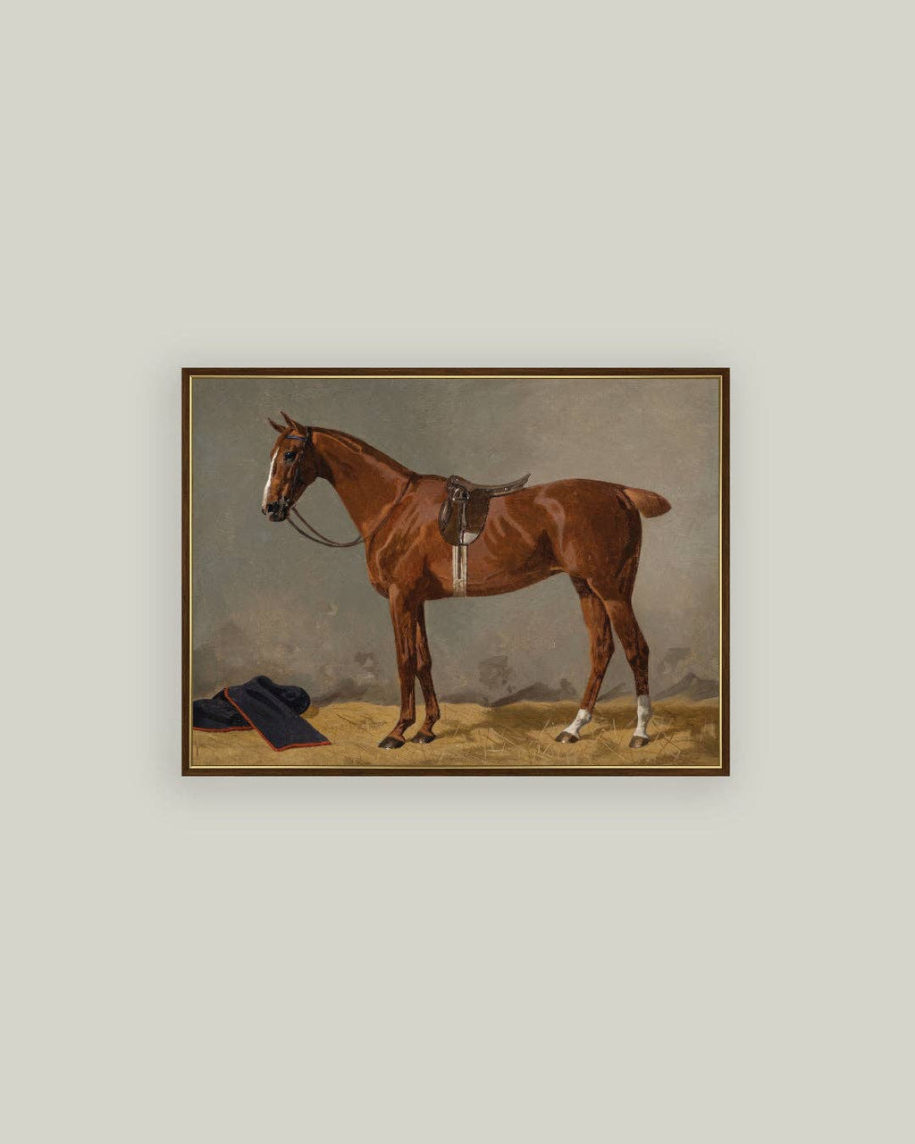 Saddled Brown Horse