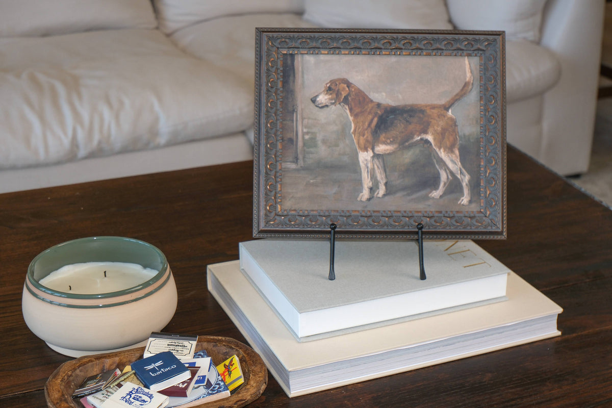 Fox Hound