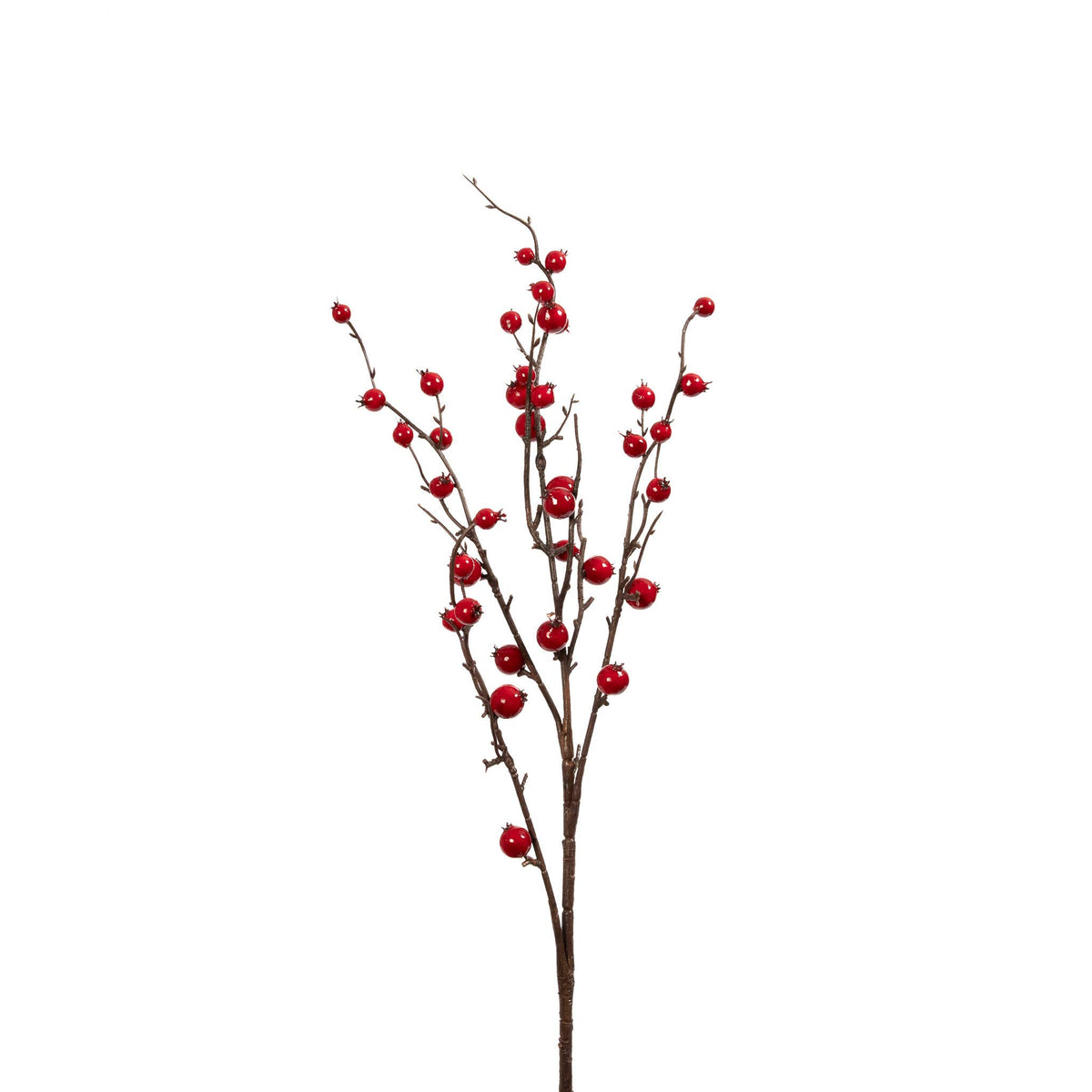 Rosehip Twig Spray 35 Inch