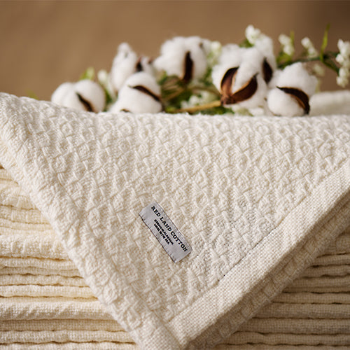 The Mary Blanket