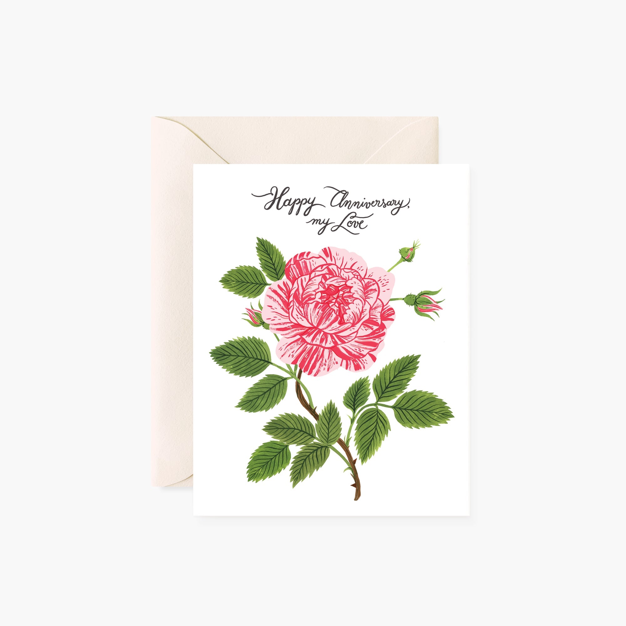 PEPPERMINT ROSE Happy Anniversary
