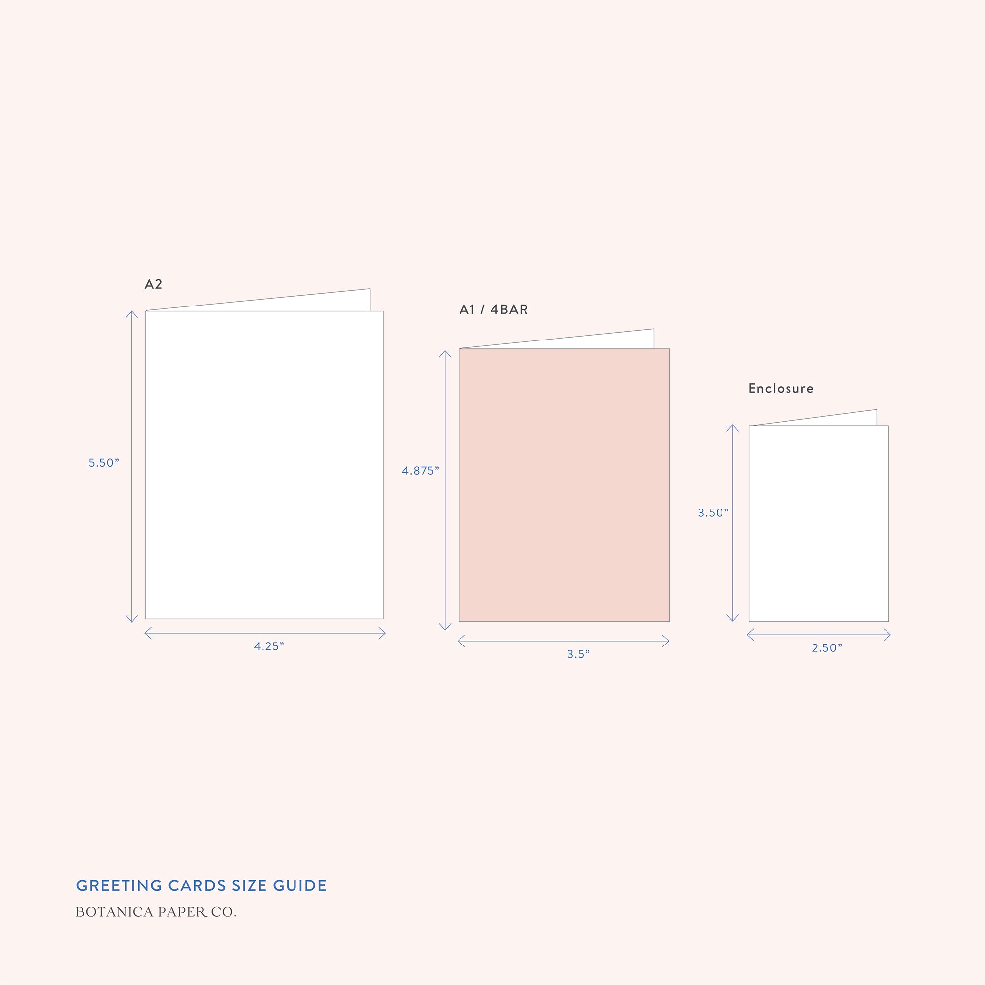NARCISSUS | A1 greeting card