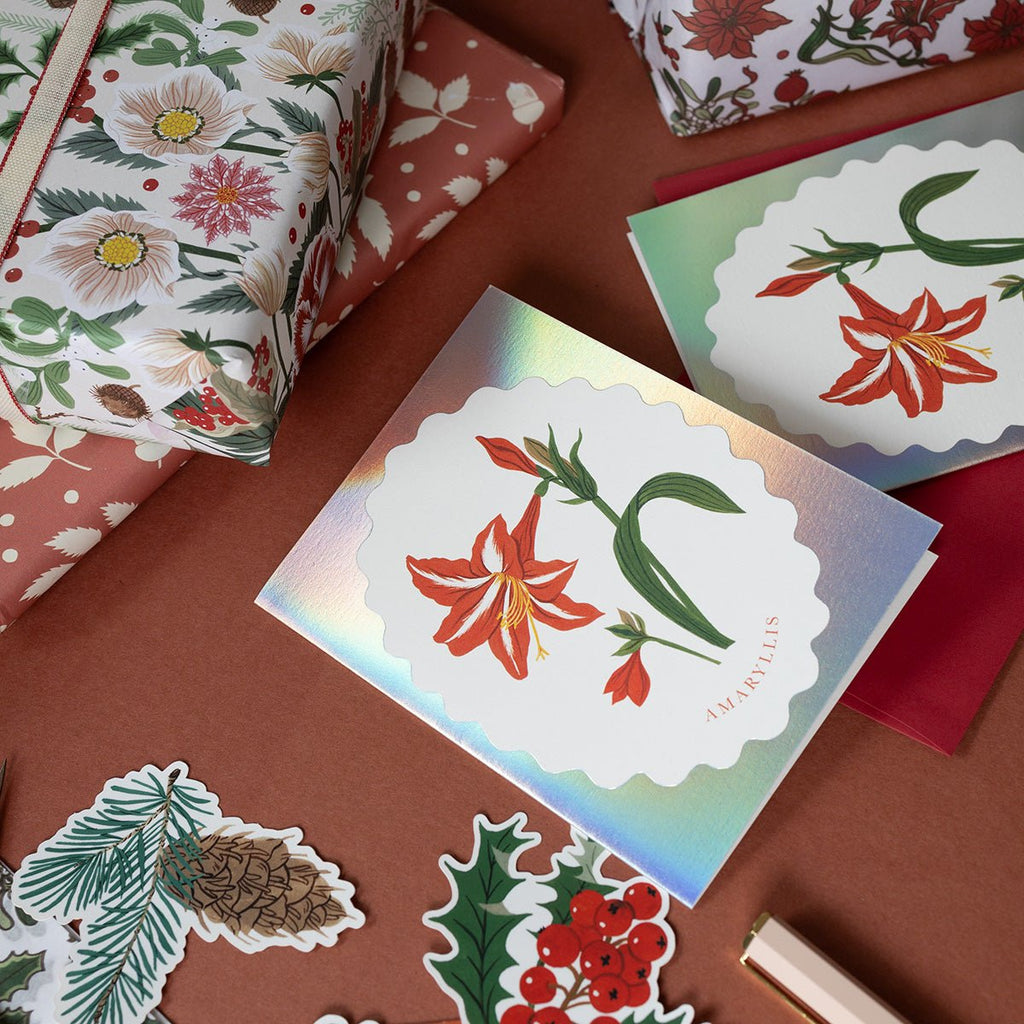 CHRISTMAS AMARYLLIS | greeting card