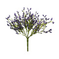 Purple Array Astilbe Bush
