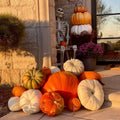 Fall Styling — Autumn Classic