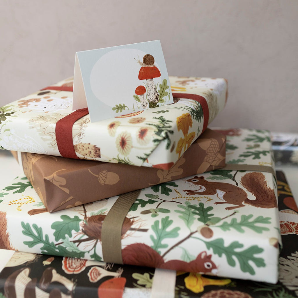 SNAIL | Mini Boxed Cards of 8