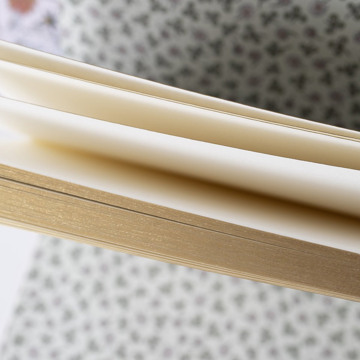 CLOVER | Deluxe Notebook