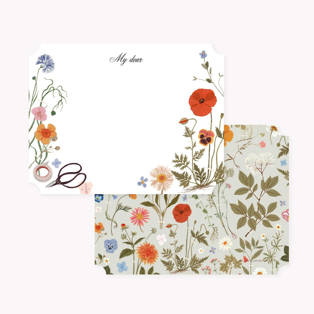 HERBARIUM  Notecards | Set of 4