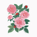 ROSA | CLEAR VINYL STICKER