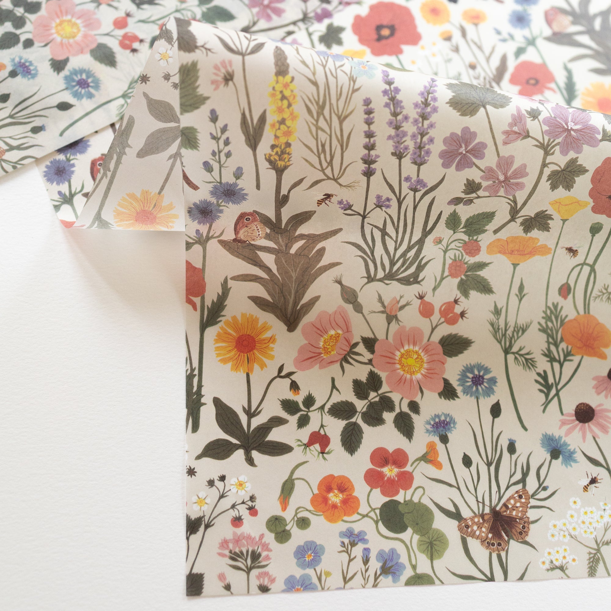 BOTANIST | Tissue Paper (10 sheets)