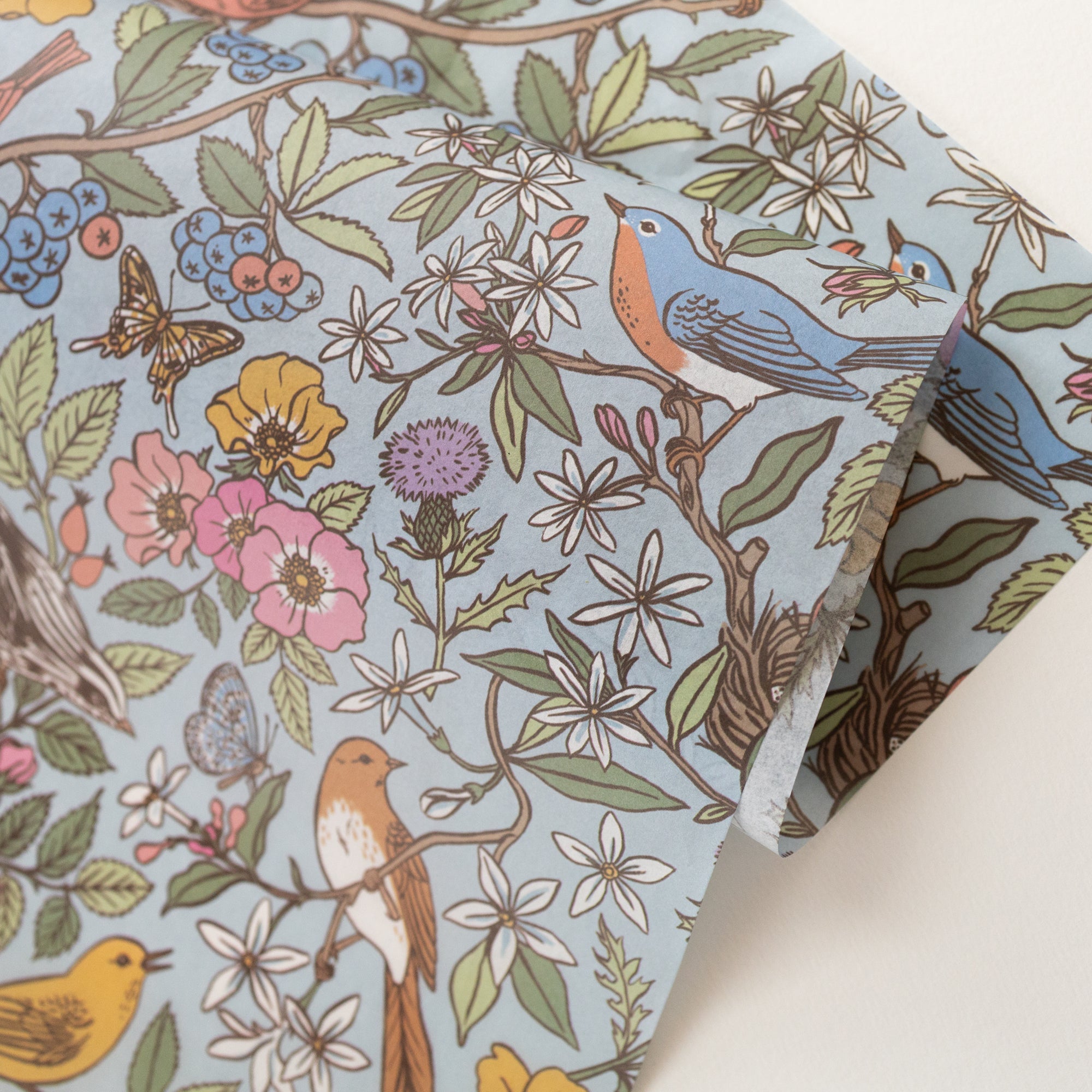 SONGBIRDS | Tissue Paper (10 sheets)