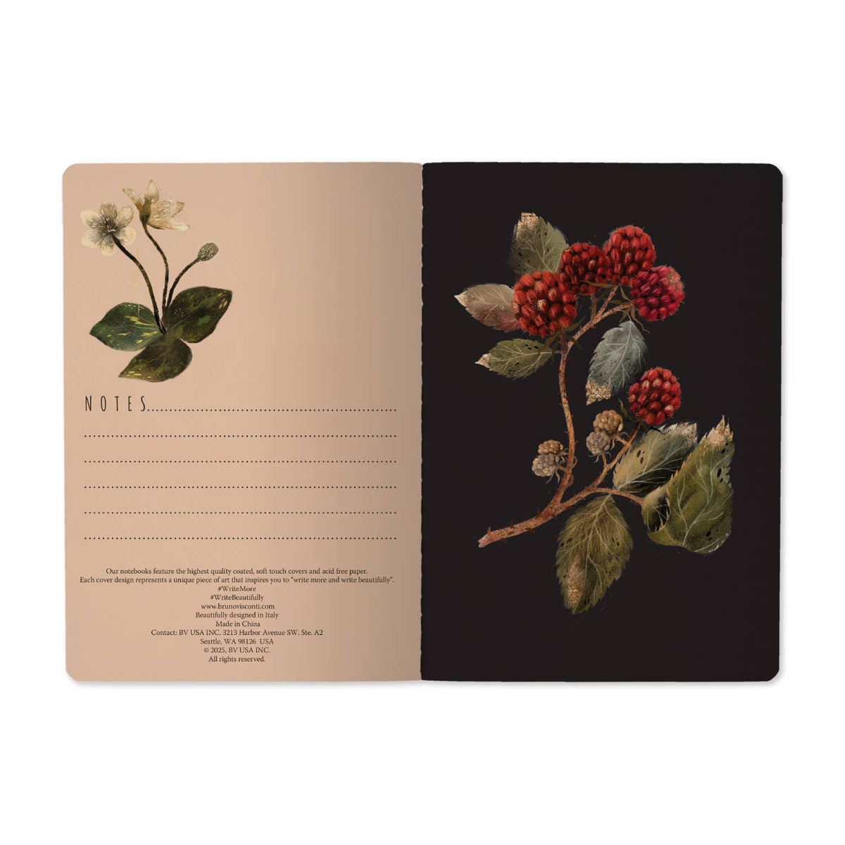 Forest Sparrows Notebook