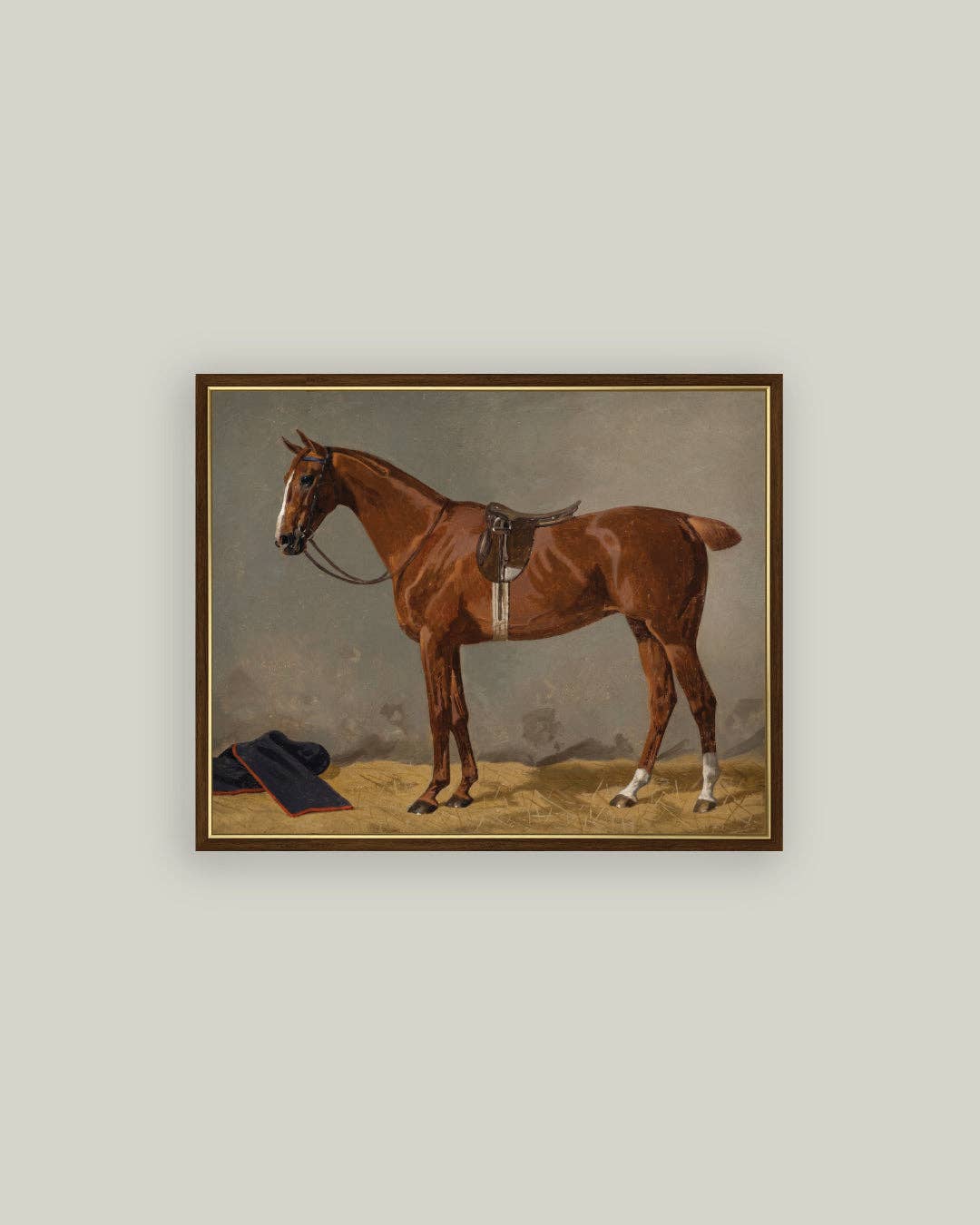 Saddled Brown Horse