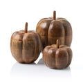 Mango Wood Fall Pumpkins - Set of 3