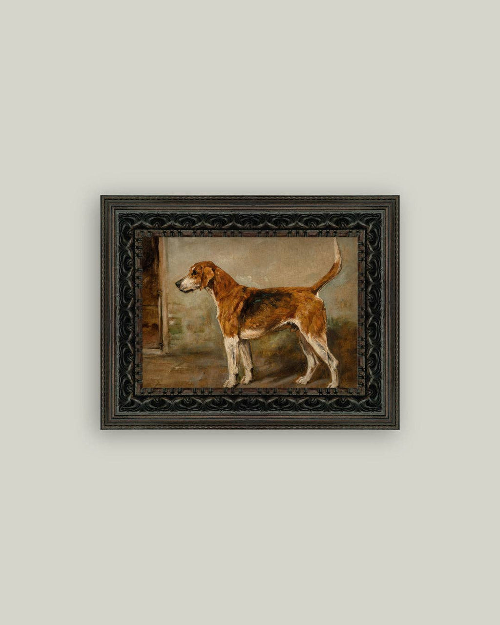 Fox Hound