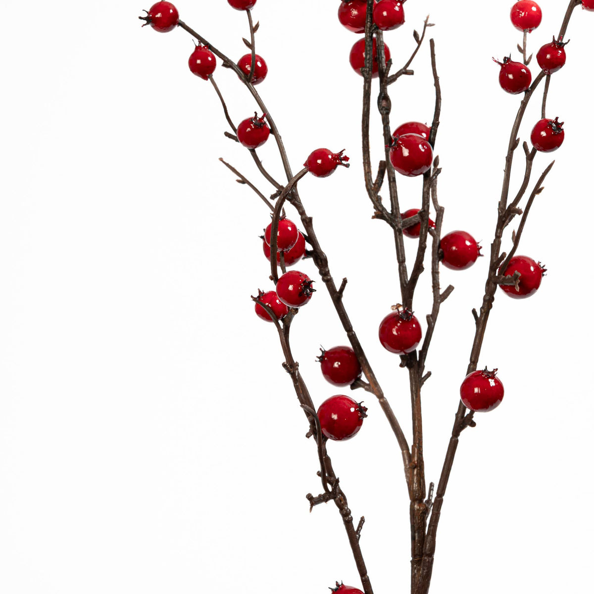 Rosehip Twig Spray 35 Inch