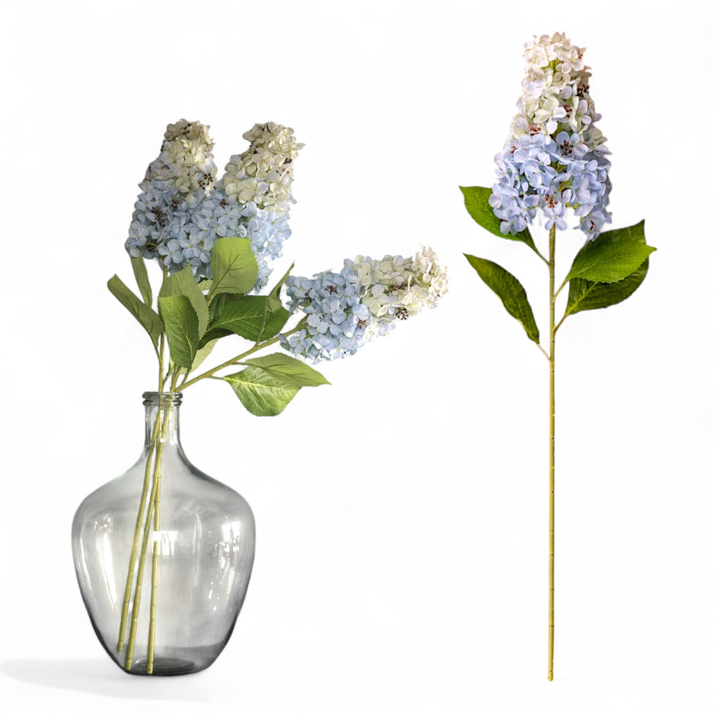 Light Blue Cone Hydrangea Stem