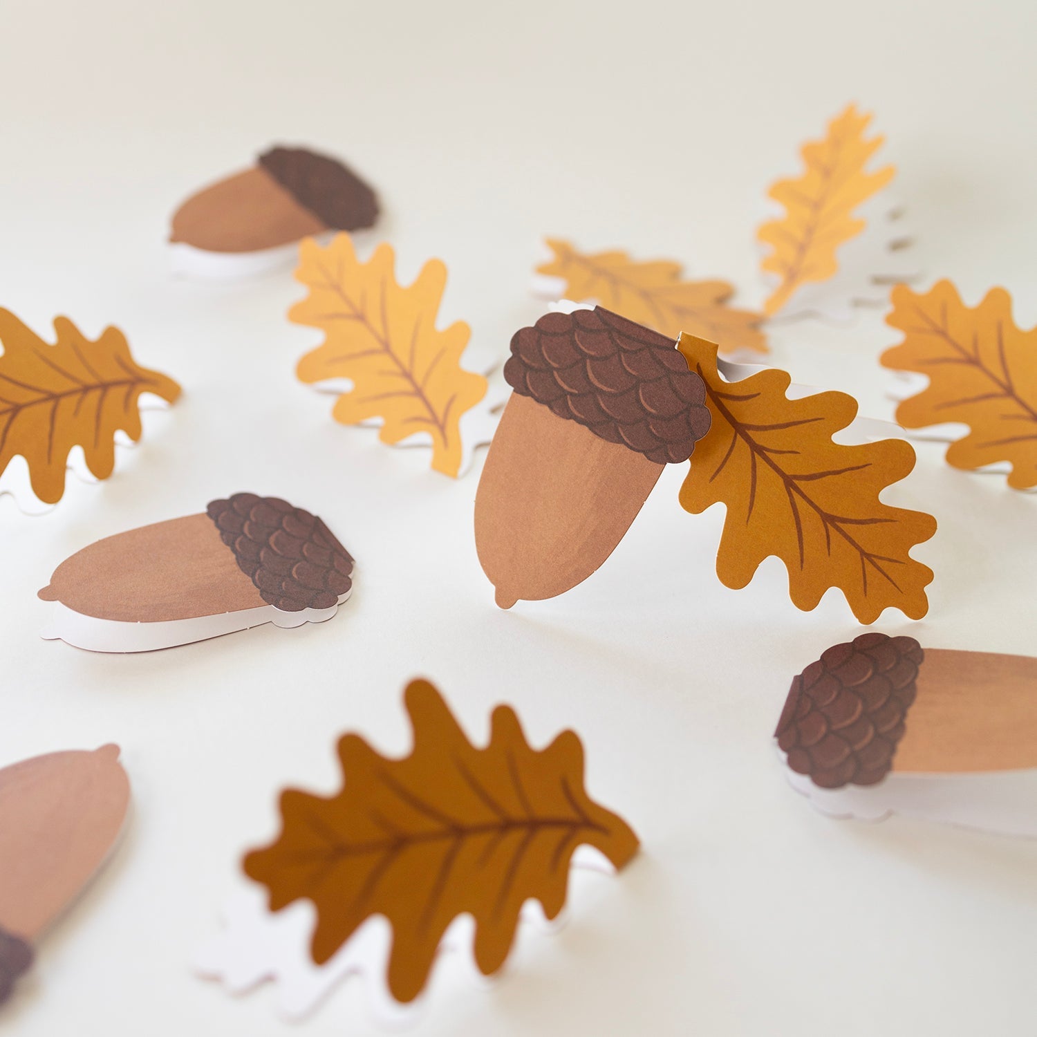 ACORN | Mini Card