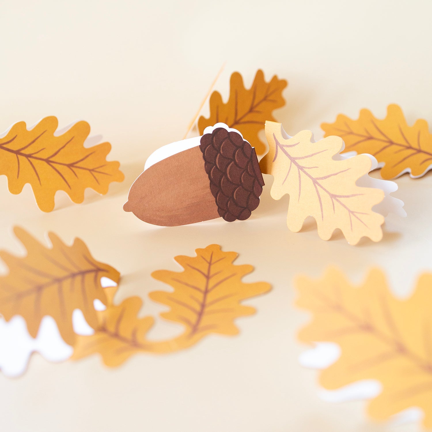ACORN | Mini Card
